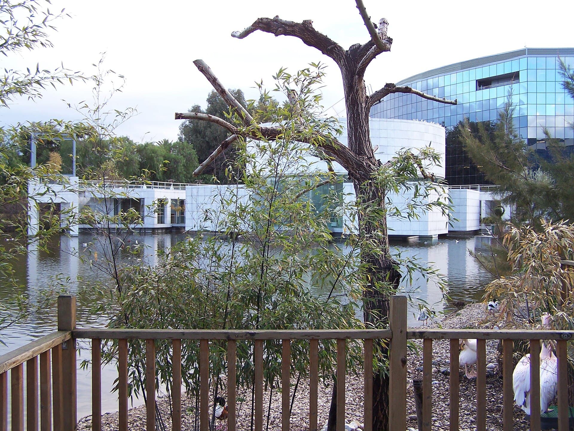 Musée départemental des Arts asiatiques